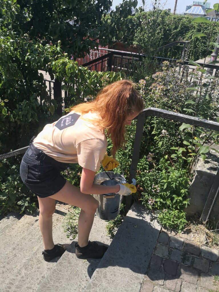 Eni sammelt auf einer Treppe am Park Müll ein und legt ihn in einen Eimer. Sie trägt ein gaia hive T-Shirt, die Sonne scheint.